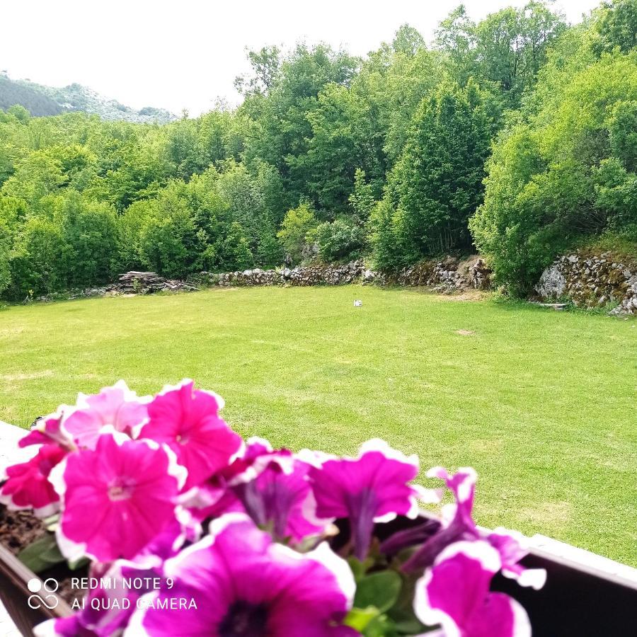 Villa Vikendica Njegusi à Cetinje Extérieur photo